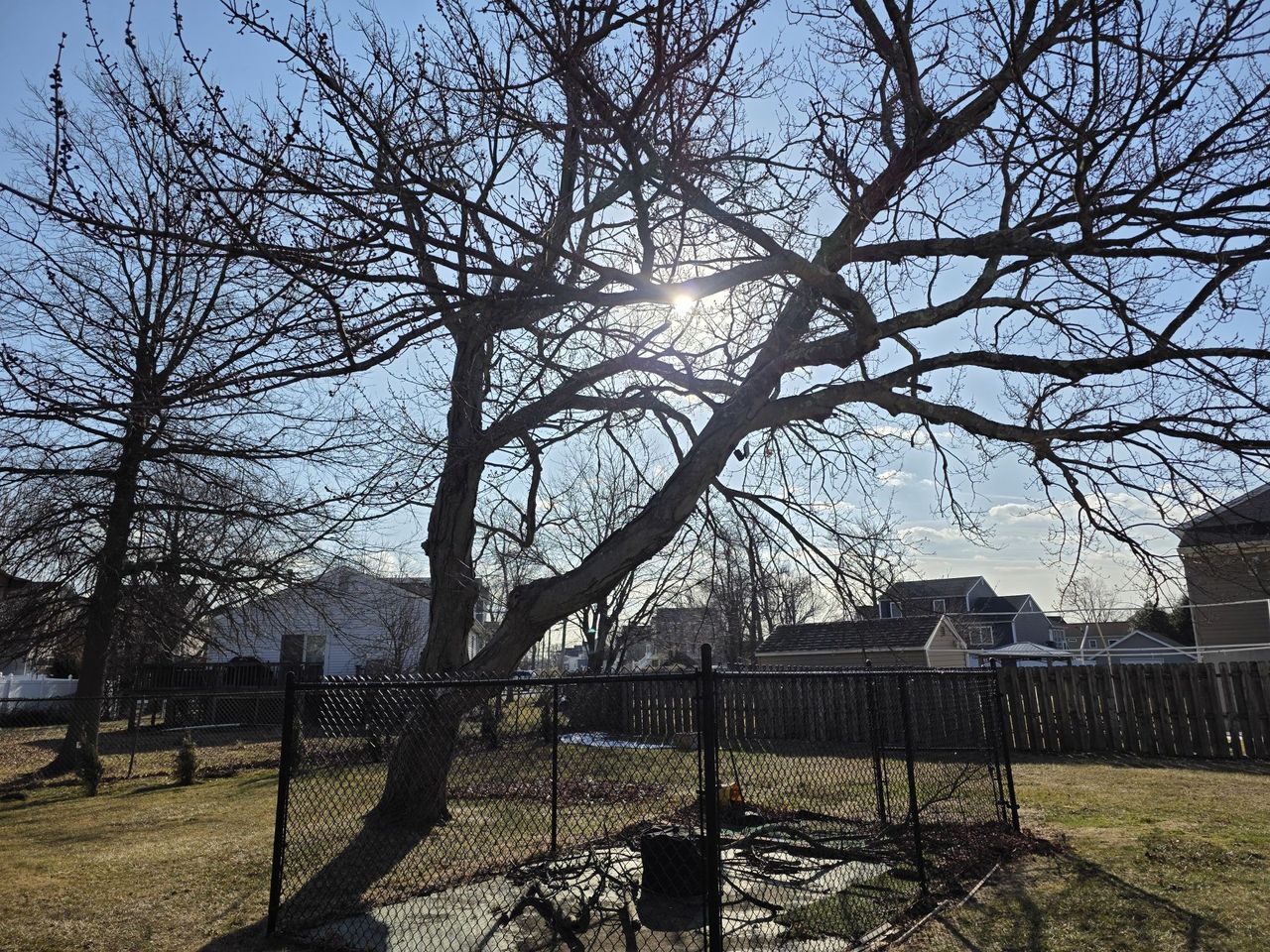 Samsung Galaxy S25 Ultra dynamic range sample.