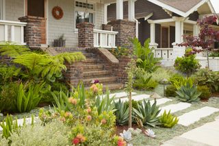 a front yard with a grass alternative ground cover