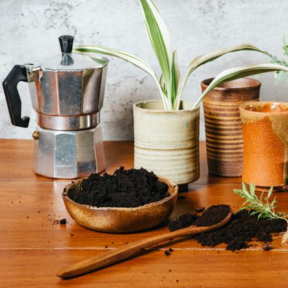 coffee grounds and compost material with plants