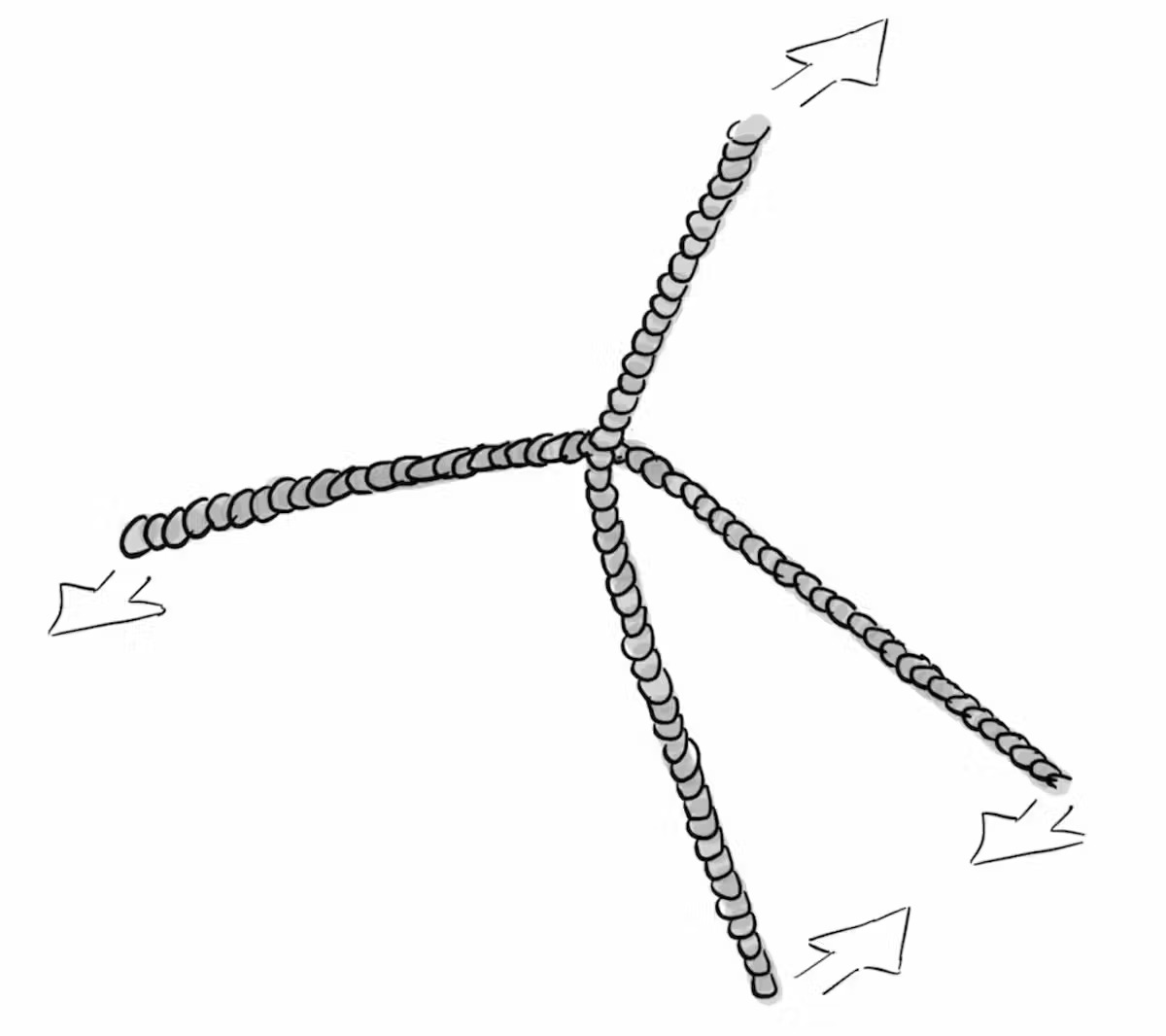 A drawing of four strands of a rope with arrows showing them moving towards each other in a knot.