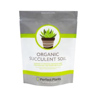 Perfect Plants All Natural Succulent and Cactus Soil Mix