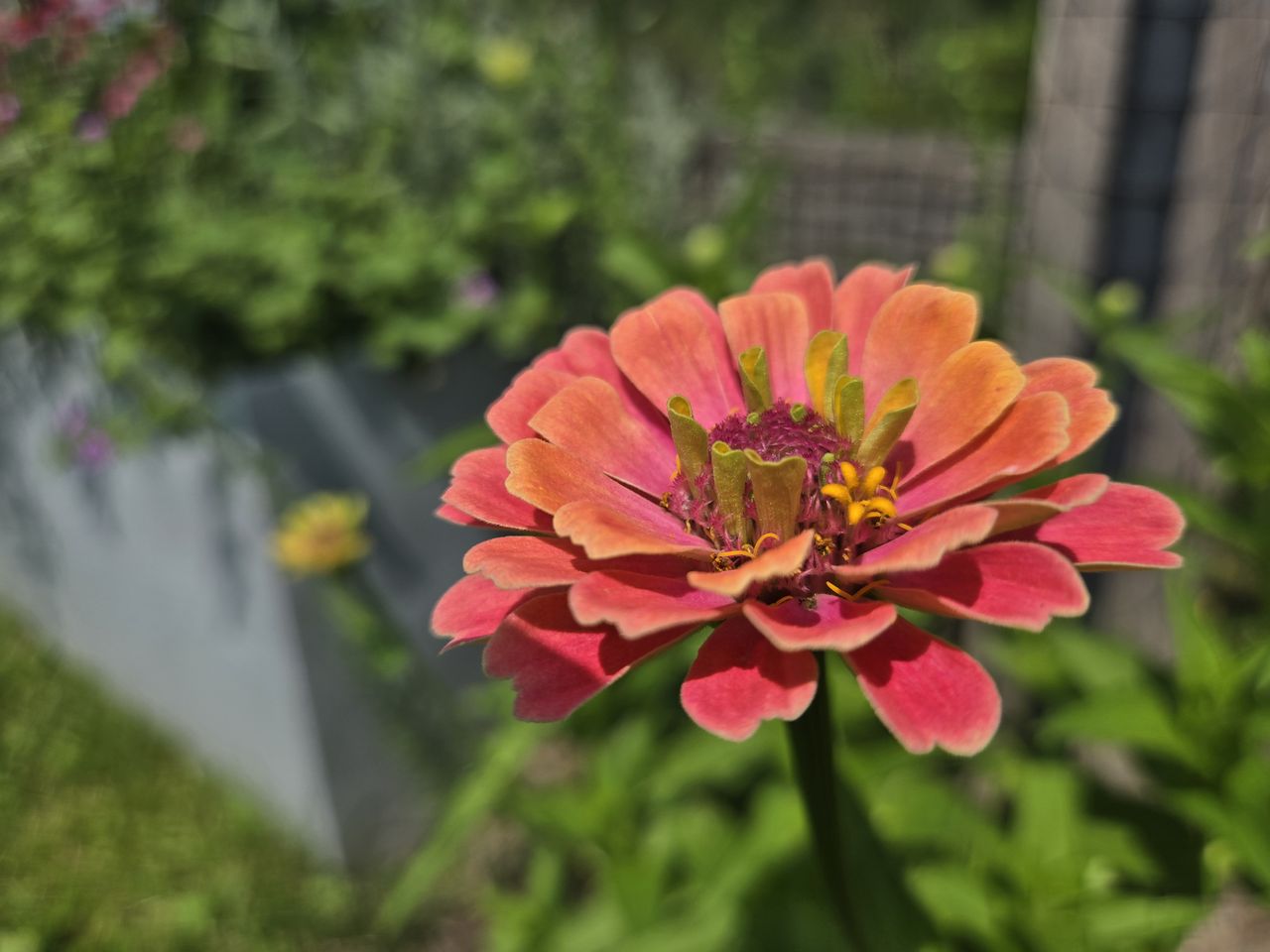 Samsung Galaxy Z Fold 6 camera samples