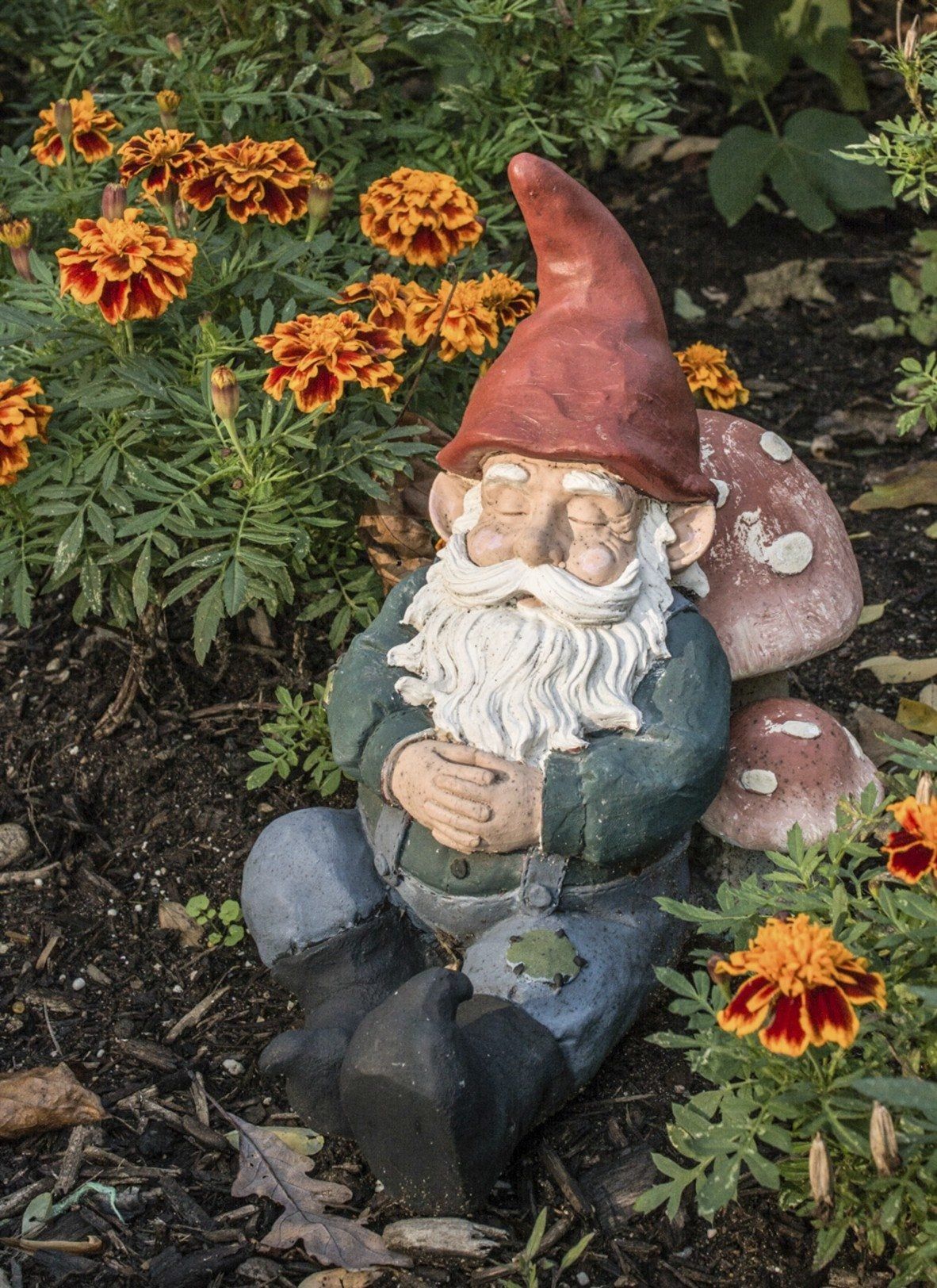 Garden Gnome In The Garden