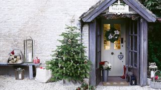 House exterior with small potted christmas tree as something to consider when buying a real Christmas tree online