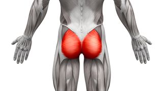 diagram of a male human's muscles as seen from the back; the body is depicted in black and white except for the two glutei maximi, which are in red