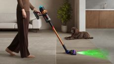 Dyson DS60 Piston Animal Vacuum 