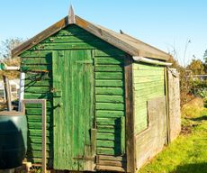 battered green shed with old wooden panels