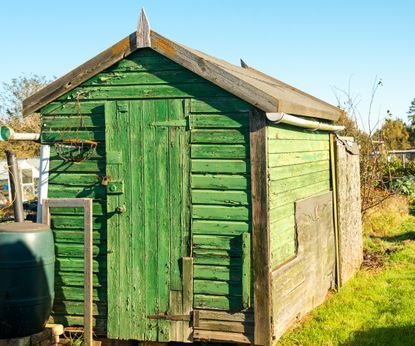battered green shed with old wooden panels