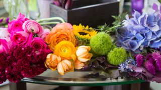 Rainbow colored flowers laid out on glass table