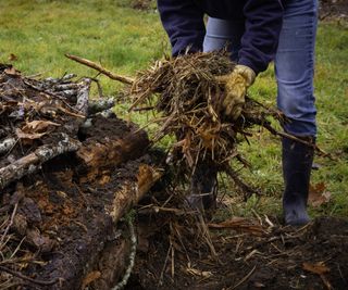 Hugelkultur gardening with mound of logs