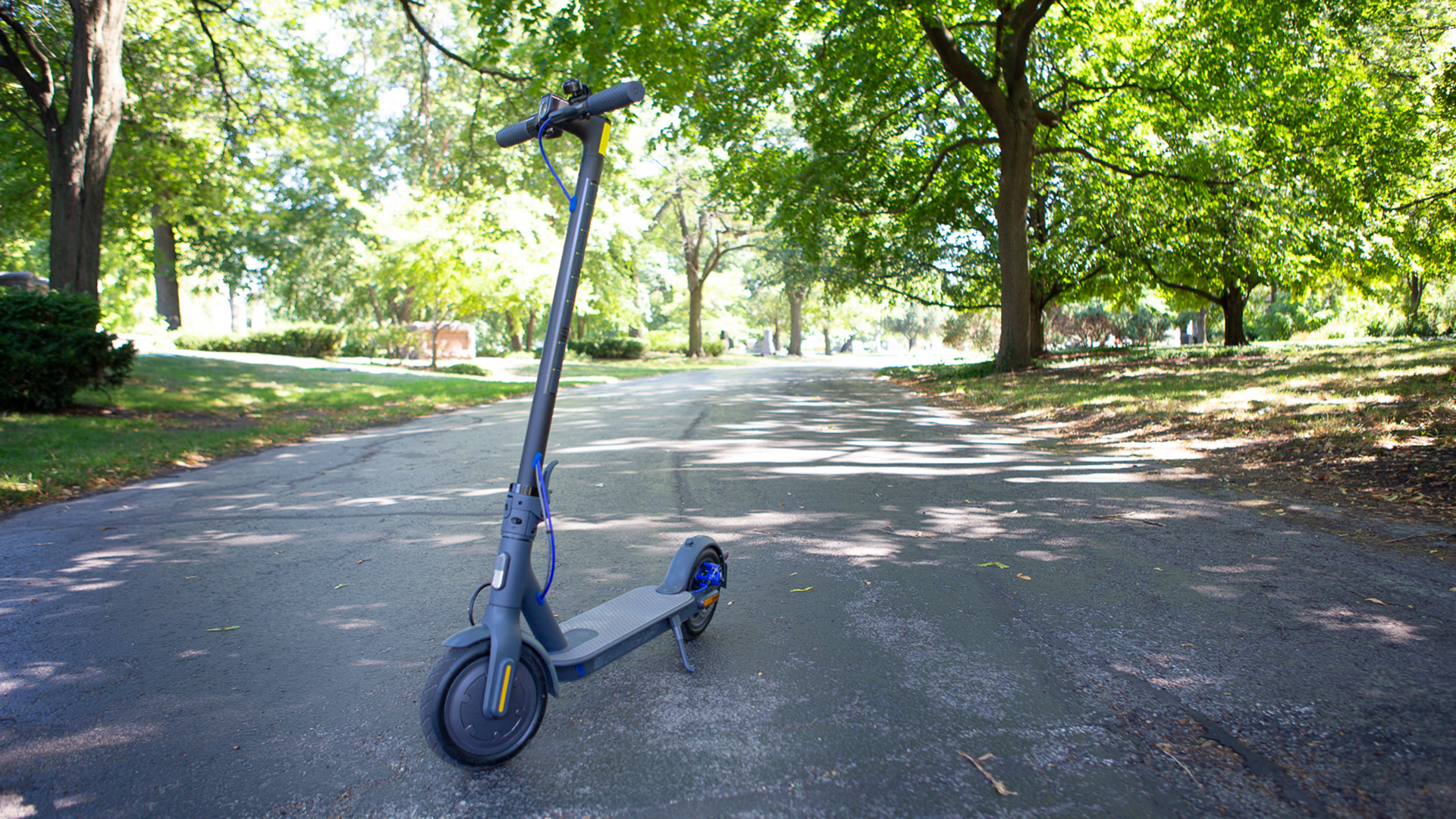 Xiaomi Mi Electric Scooter 3 in review: Proven e-scooter with two points of  criticism -  Reviews