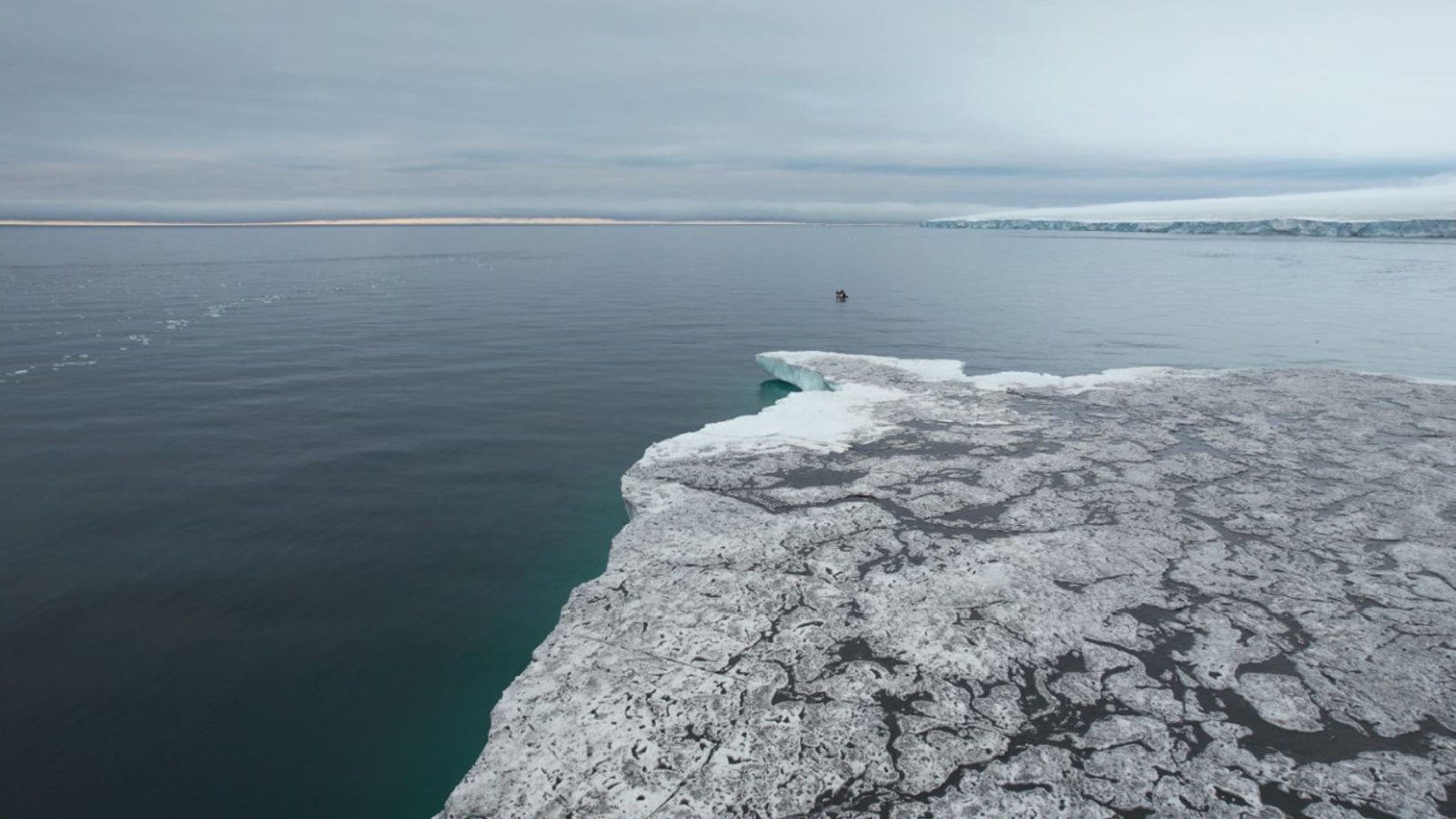 A drone photo of Mesyatsev Island taken in 2021 that shows a dark covering of dust on its surface