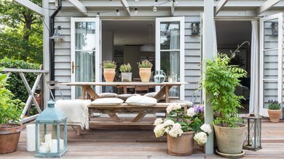 best porch plants