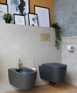 Ideas for small bathrooms showing a compact, wall-hung toilet