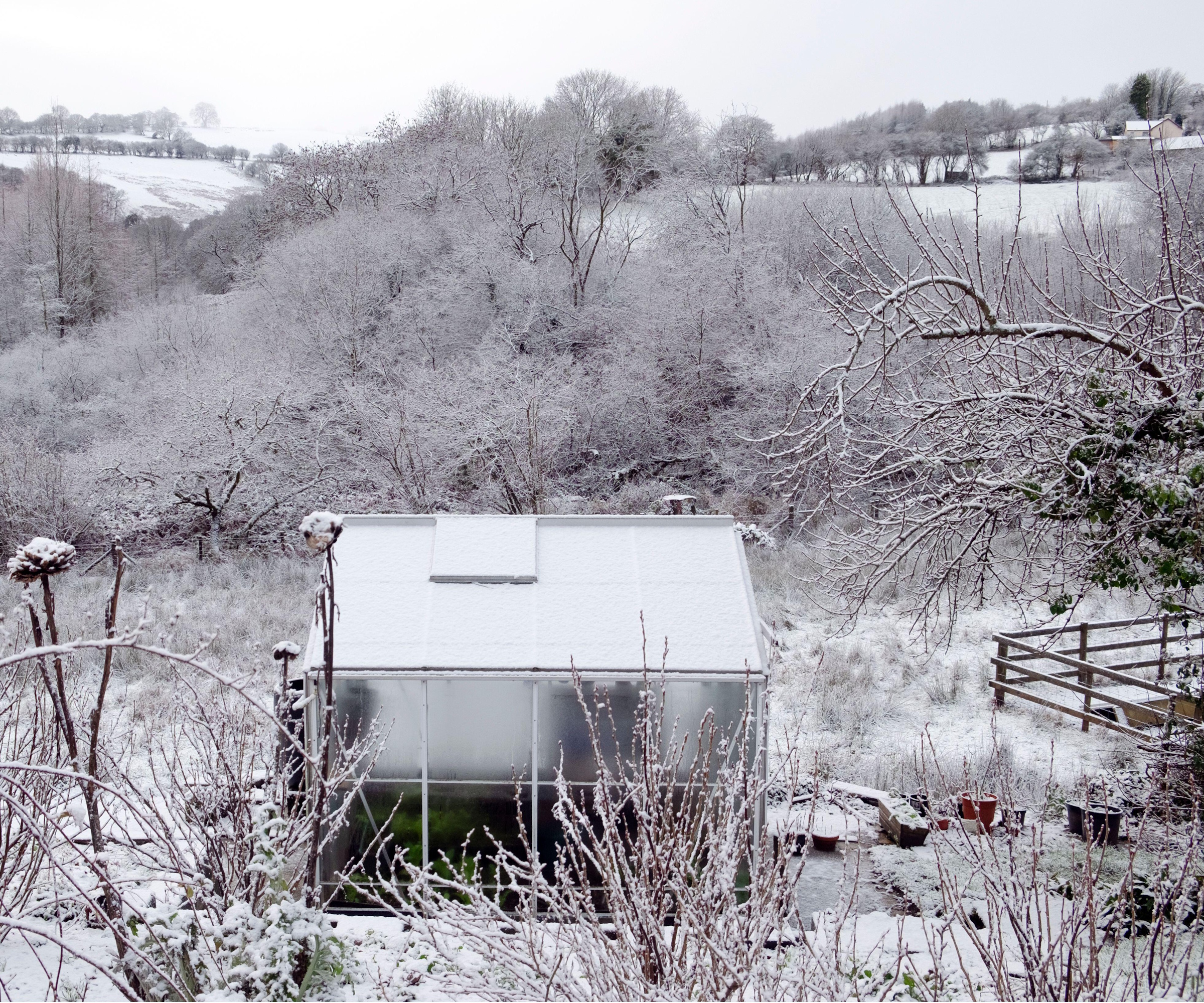 Snowy scene with greenhouse covered in snow