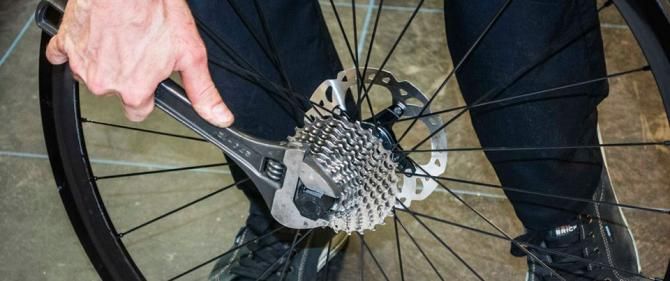 The disc on the rear wheel