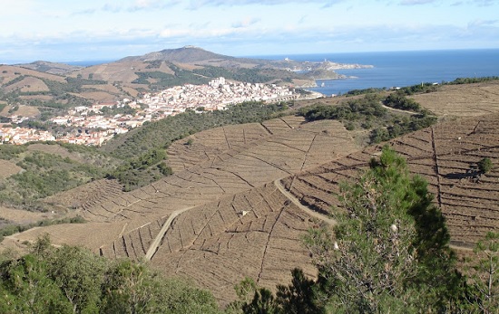 Banyuls Roussillon