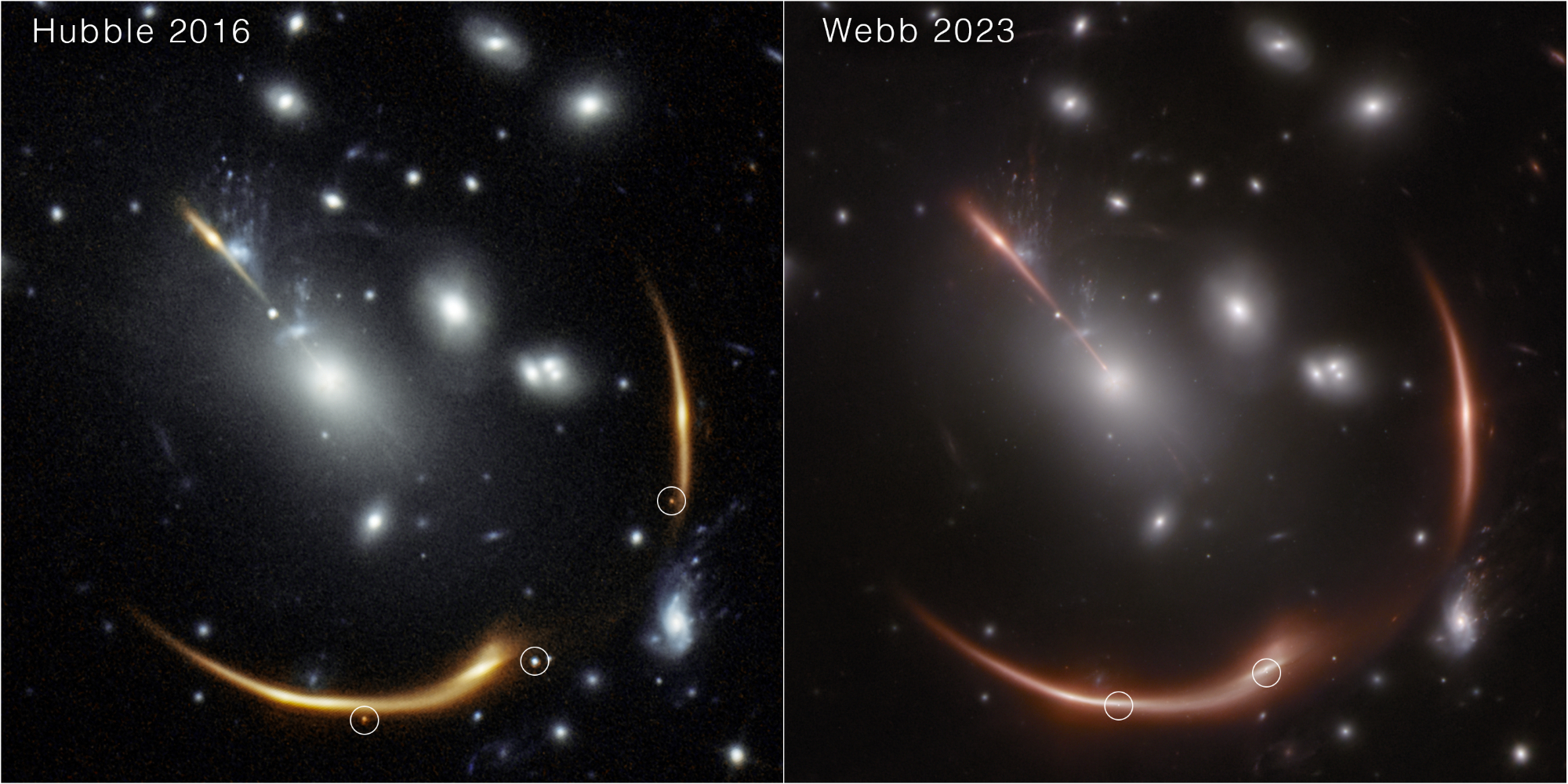 Warped supernova noticed by means of James Webb Area Telescope may settle a longstanding debate