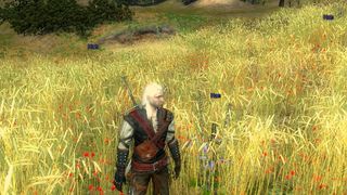 Best Witcher 1 mods - Geralt standing next to a Han plant in a sunlit field