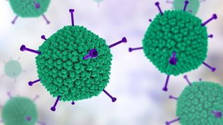 This computer illustration shows an adenovirus.