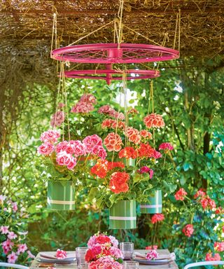 Vibrant pelargoniums planted up in spray painted tin can flower pots hung from an old bicycle wheel frame