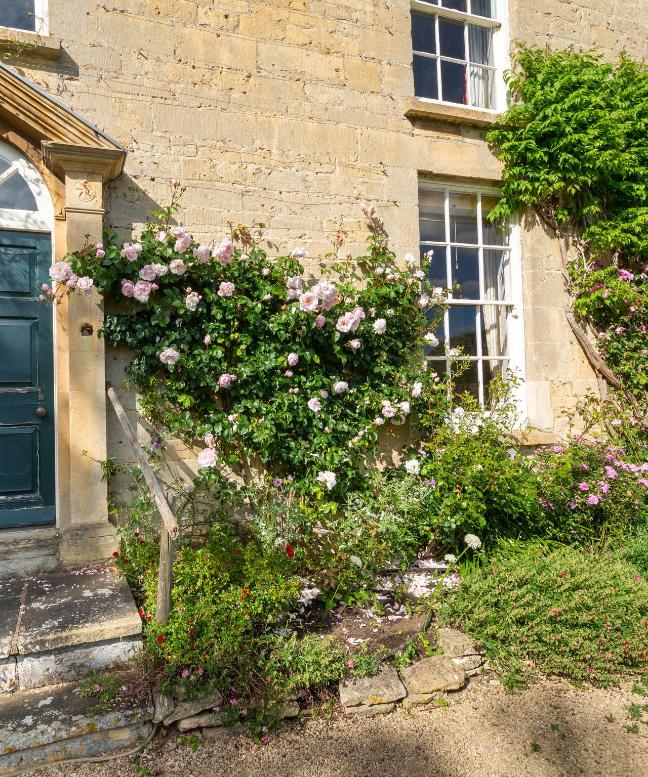 climbing roses by front door of Georgian country house