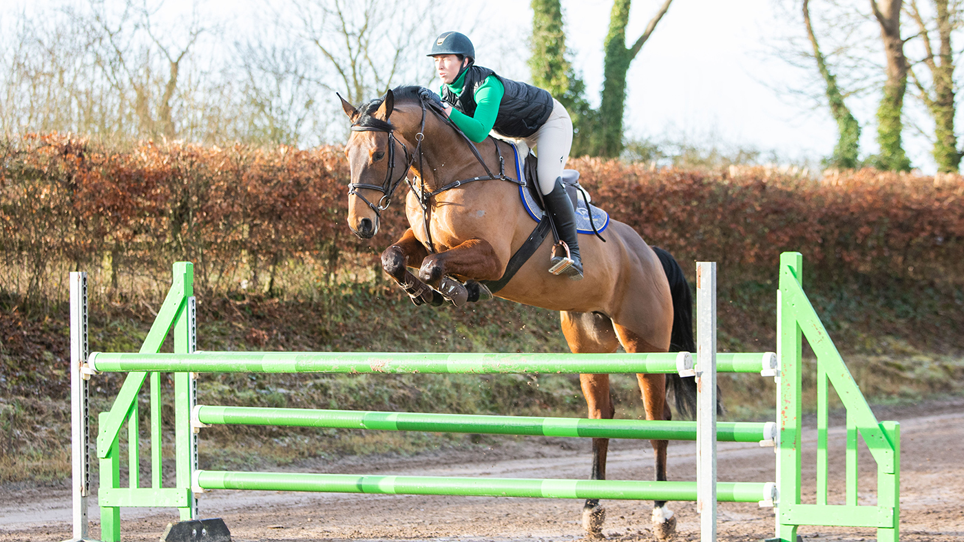 Coolballyshan Stud 05 02 2020
