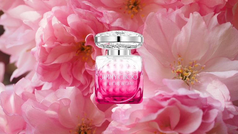 Perfumes Like Jimmy Choo Blossom 2024 favors