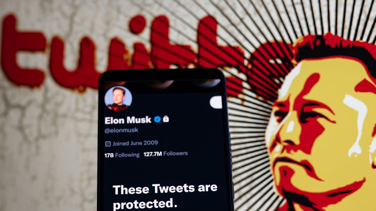 Elon Musk and Twitter