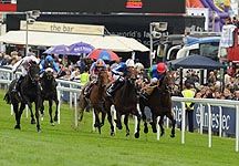 epsom-generic.jpg