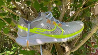 Nike Pegasus Trail 4