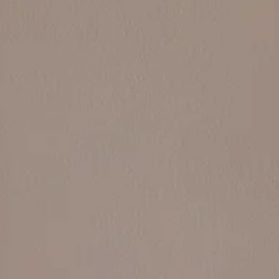 neutral paint from Dunelm in mink