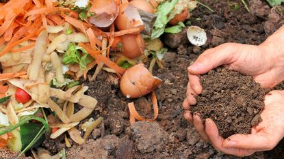 Traditional compost heap ingredients including vegetable peelings and egg shells