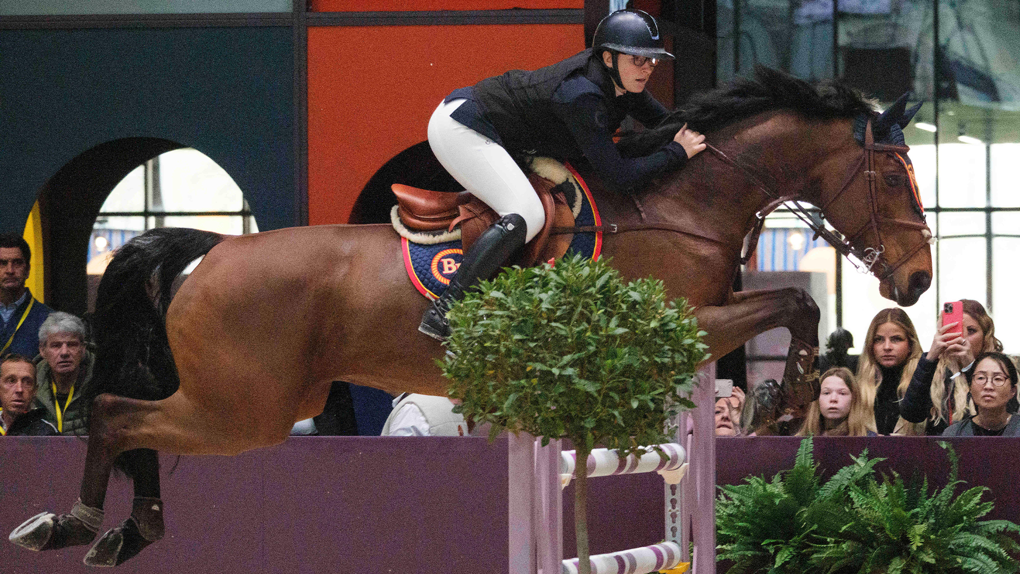 Jennifer Billington jumps Flipper Darco UK Z at the during the CSI5* Talents Herm&amp;egrave;s competition, Saut-Herm&amp;egrave;s