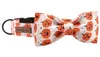 Lionet Paws Soft Bowtie Dog Collar