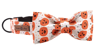 Best Halloween dog collars: Lionet Paws Soft Bowtie Dog Collar