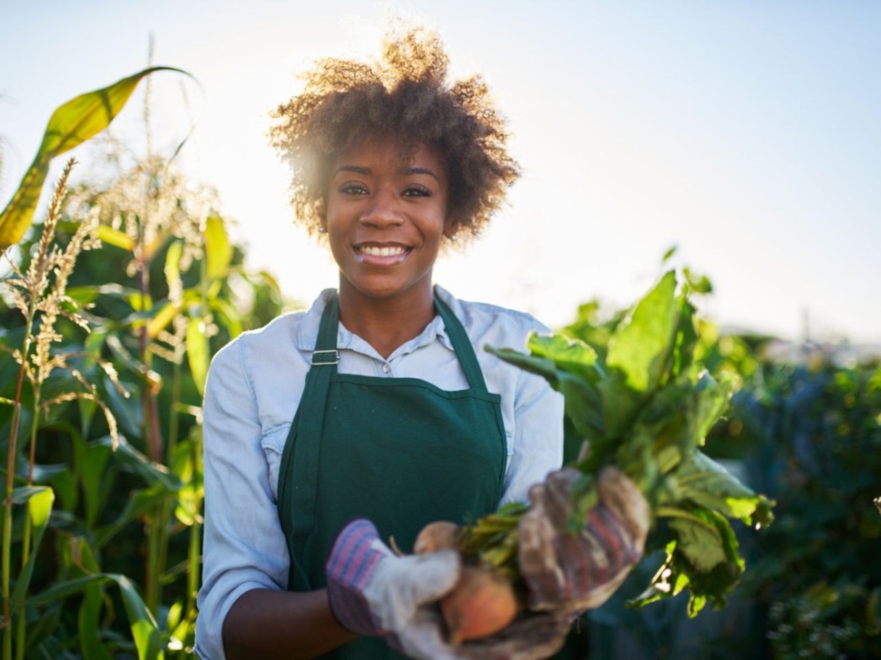 Gardener Holding Vegetable Plants