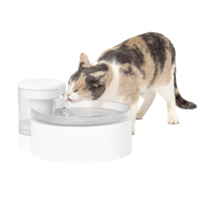 Cat drinking from PetSafe Outlast Cat Fountain, one of the best pet water fountains