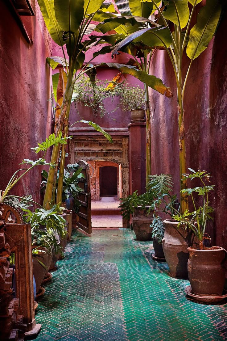 Riad Madani