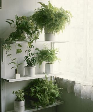 Stacked plant shelf