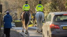Pictured police horses from West Midlands Police out on patrol.