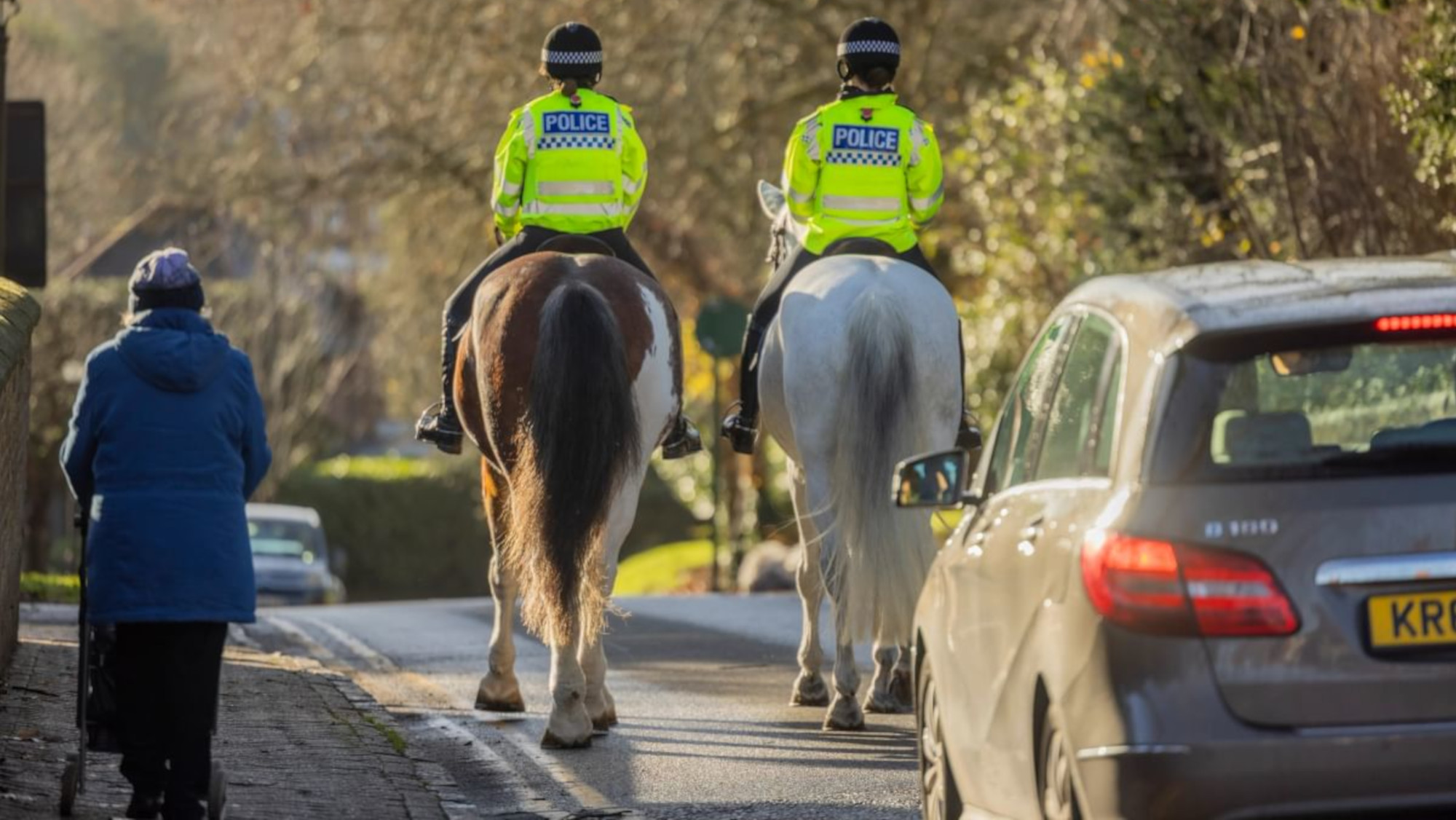 Pictured police horses from West Midlands Police out on patrol.
