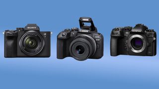 top market shareholders of mirrorless cameras