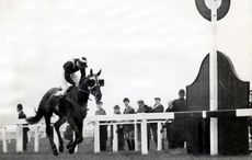 Foinavon Passes The Winning Post. 1967 Grand National At Aintree