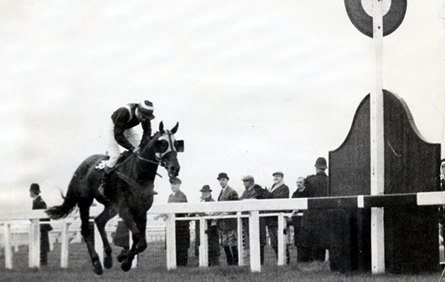 Foinavon Passes The Winning Post. 1967 Grand National At Aintree