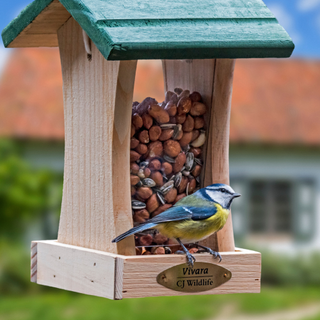 Blue Tit eating from bird feeder.