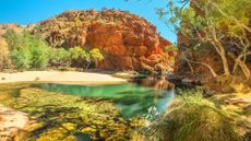 Panoramic view of Ellery Creek Big Hole waterhole in West MacDonnell Ranges surrounded by red cliffs and bush outback vegetation. Northern Territory, Central Australia.