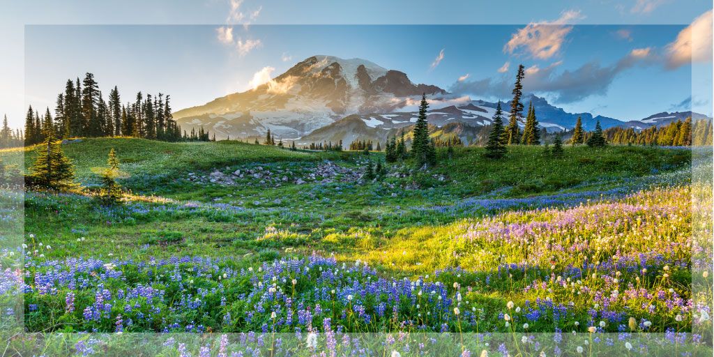 Outdoor landscape and map of Washington State Planting Zones