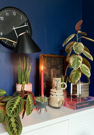 A side table with potted houseplants