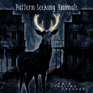 Pattern-Seeking Animals